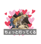 犬のライト（個別スタンプ：2）