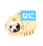 犬のライト（個別スタンプ：8）