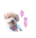 ことらんたの日常。（個別スタンプ：8）