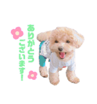 ことらんたの日常。（個別スタンプ：13）