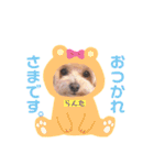 ことらんたの日常。（個別スタンプ：19）