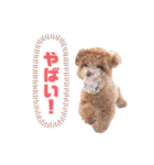 ことらんたの日常。（個別スタンプ：27）