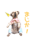 ことらんたの日常。（個別スタンプ：29）