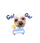 ことらんたの日常。（個別スタンプ：37）