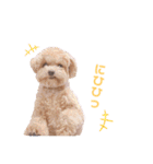 ことらんたの日常。（個別スタンプ：38）