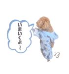 ことらんたの日常。（個別スタンプ：40）