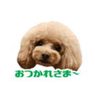 うめの友達★あんじゅ＆しぇり★（個別スタンプ：2）