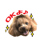 うめの友達★あんじゅ＆しぇり★（個別スタンプ：5）