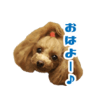 うめの友達★あんじゅ＆しぇり★（個別スタンプ：7）