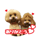 うめの友達★あんじゅ＆しぇり★（個別スタンプ：8）