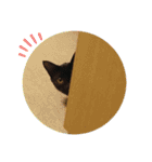 うちのくろねこ（個別スタンプ：2）