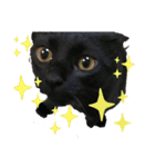 うちのくろねこ（個別スタンプ：3）