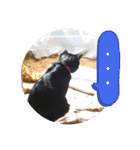 うちのくろねこ（個別スタンプ：7）