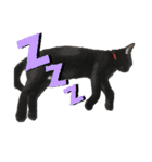 うちのくろねこ（個別スタンプ：8）