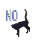 うちのくろねこ（個別スタンプ：14）