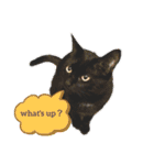 うちのくろねこ（個別スタンプ：17）