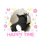 うちのくろねこ（個別スタンプ：23）