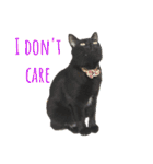 うちのくろねこ（個別スタンプ：31）