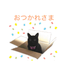うちのくろねこ（個別スタンプ：37）