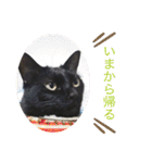 うちのくろねこ（個別スタンプ：38）