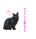 うちのくろねこ（個別スタンプ：39）