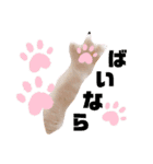 マロンコロンチョロ（個別スタンプ：2）