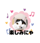 マロンコロンチョロ（個別スタンプ：4）