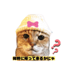 マロンコロンチョロ（個別スタンプ：11）