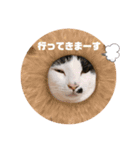 マロンコロンチョロ（個別スタンプ：15）