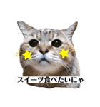 マロンコロンチョロ（個別スタンプ：16）