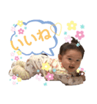 シューシュースタンプ（個別スタンプ：18）