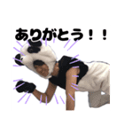 鈴井先生のスタンプ（個別スタンプ：1）