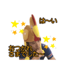 鈴井先生のスタンプ（個別スタンプ：8）