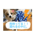 レオモルビビ（個別スタンプ：3）