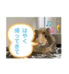 レオモルビビ（個別スタンプ：4）