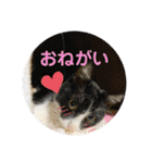 レオモルビビ（個別スタンプ：6）