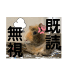 レオモルビビ（個別スタンプ：8）