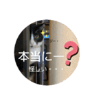レオモルビビ（個別スタンプ：9）