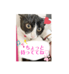 レオモルビビ（個別スタンプ：10）