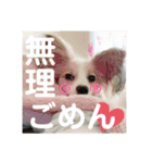 レオモルビビ（個別スタンプ：15）