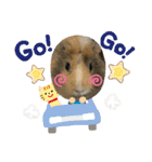 レオモルビビ（個別スタンプ：24）