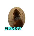 うちのちょっちゃん（個別スタンプ：7）