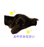 チワックスととろ（個別スタンプ：2）