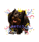 チワックスととろ（個別スタンプ：7）