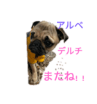 マメスタンプ！（個別スタンプ：1）