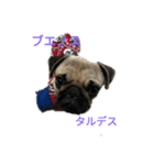 マメスタンプ！（個別スタンプ：3）