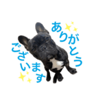 がくげん3（個別スタンプ：2）