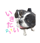 がくげん3（個別スタンプ：5）
