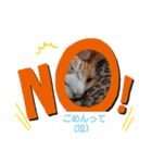愛でられし猫（個別スタンプ：6）