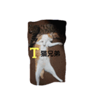 愛でられし猫（個別スタンプ：11）
